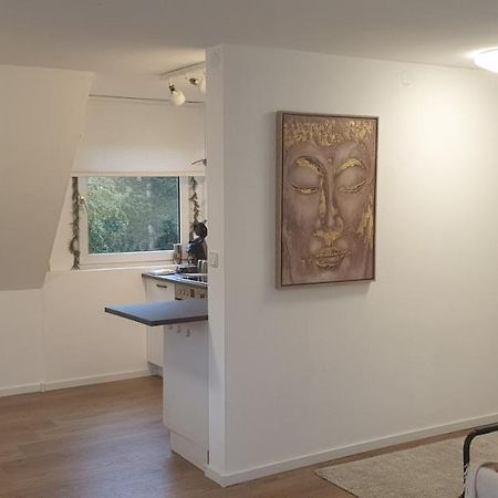 Frisch Renoviert Mit Dachterrasse - Geniesse Ruhe Und Grun Nahe Neustadt Aisch Neustadt an der Aisch Buitenkant foto