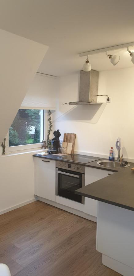 Frisch Renoviert Mit Dachterrasse - Geniesse Ruhe Und Grun Nahe Neustadt Aisch Neustadt an der Aisch Buitenkant foto